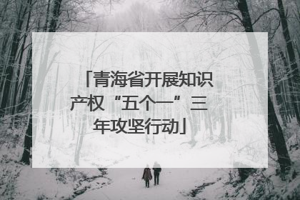 青海省开展知识产权“五个一”三年攻坚行动